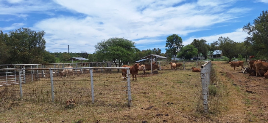 2 Bedroom Property for Sale in Swartruggens North West